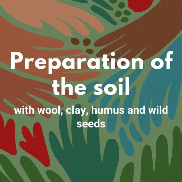 Preparation of the soil: with wool, clay, humus and wild seeds 